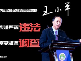 爱游戏体育已查1年半！足协原纪委主任王小平、原中超董事长刘军暂无新消息