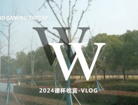 爱游戏WBG发布德杯Vlog：总结经验，彼此磨合，整装待发，我们新赛季见