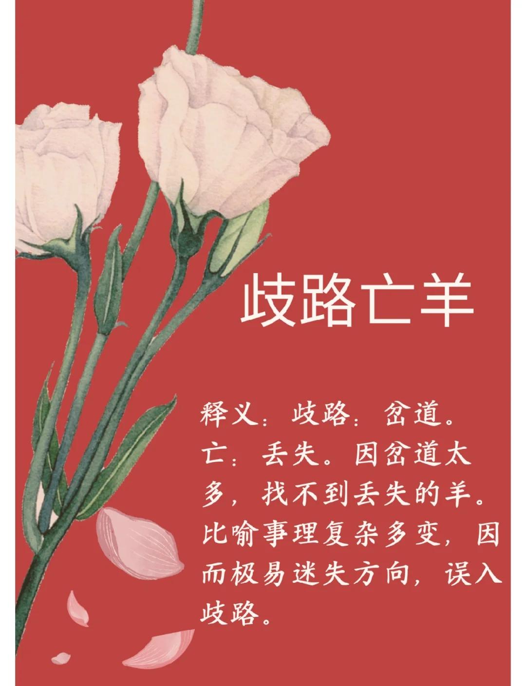 包含荷甲领头羊遭遇连败，前景堪忧难言乐观的词条